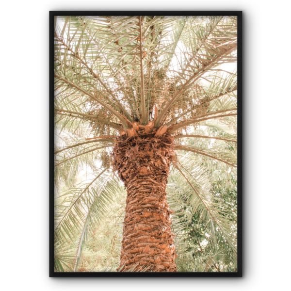 Palm Tree Canvas Print